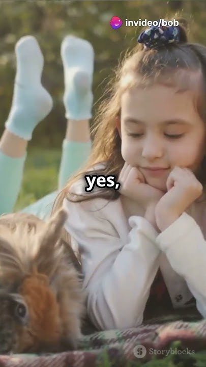 Pirate Kitty: The Feline Thief 🐈Stealing Hearts in Australia! #pets #