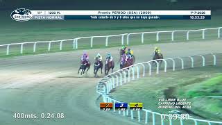 Vidéo de la course PMU PREMIO PERIOD (USA) 2009