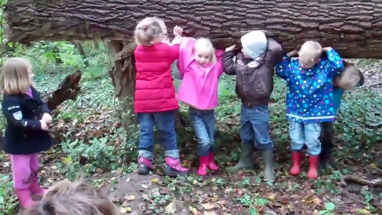 Herfstwandeling in het Roderveld.