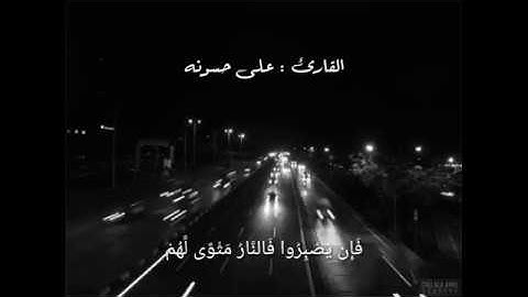 ماتيسر من سورة فصلت القارئ على حسونه