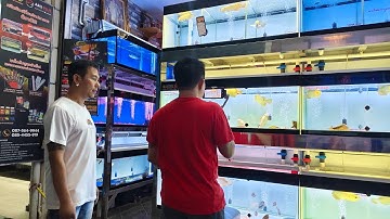 โอเคฟ้าใสสนามหลวง 2 - งานร่วมทีมใหม่ประพันธ์นำส่งและติดตั้งตู้ปลาโซนใหม่ จำนวน 12 ใบ Set 1