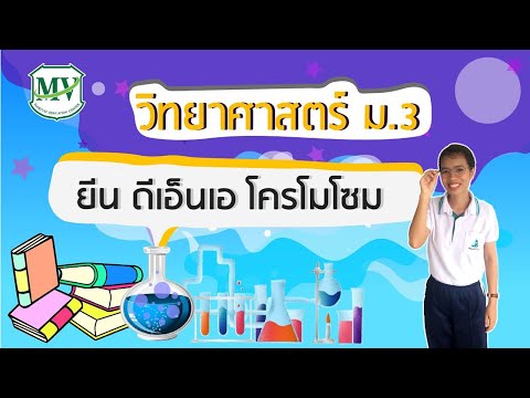 วิทยาศาสตร์ ม.3 โครโมโซม ยีน DNA