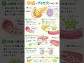 生理学が苦手でも1分でわかる!グルカゴンの仕組み