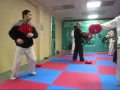 Super Taekwondo Kicks