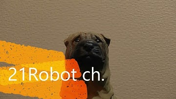 21Robot ch. 俺の犬(英語字幕付き）ラズパイPythonプログラム