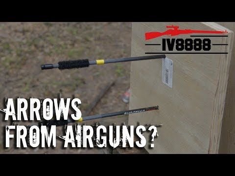Arrows from Air Rifles?