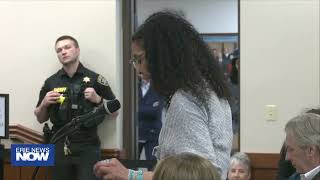 Erie County Council Fails to Override Executive's Veto