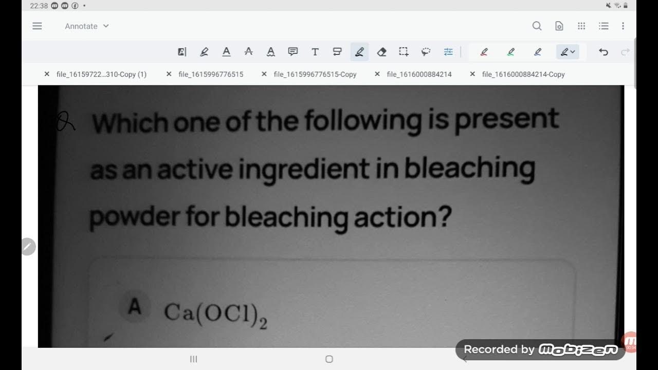 which one is present as an active ingredient in bleaching powder for