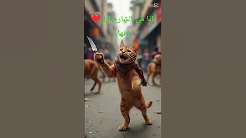 انا في الشارع ليل ونهار 