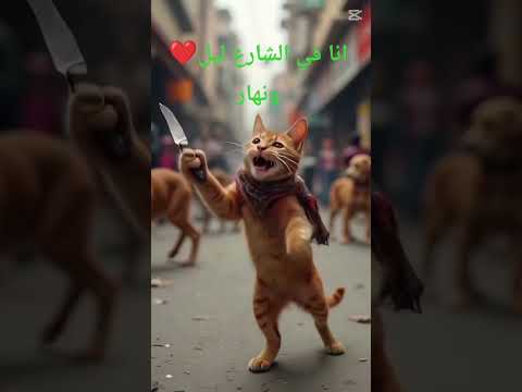 انا في الشارع ليل ونهار