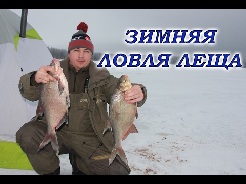 Зимняя рыбалка на леща. Подледный фидер.