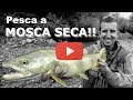 Pesca a MOSCA SECA. Top 100 ESPECTACULARES cebadas!