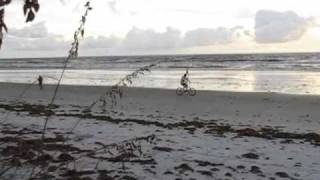 One whack early on Saturday morning 09 12 09 Surf Station Surf Report