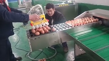 Egg Grading Machine System video