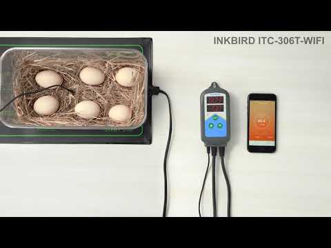 INKBIRD ITC-306T-WIFI Digital Temperature Controller Brief Introduction, for #incubator, #seedling