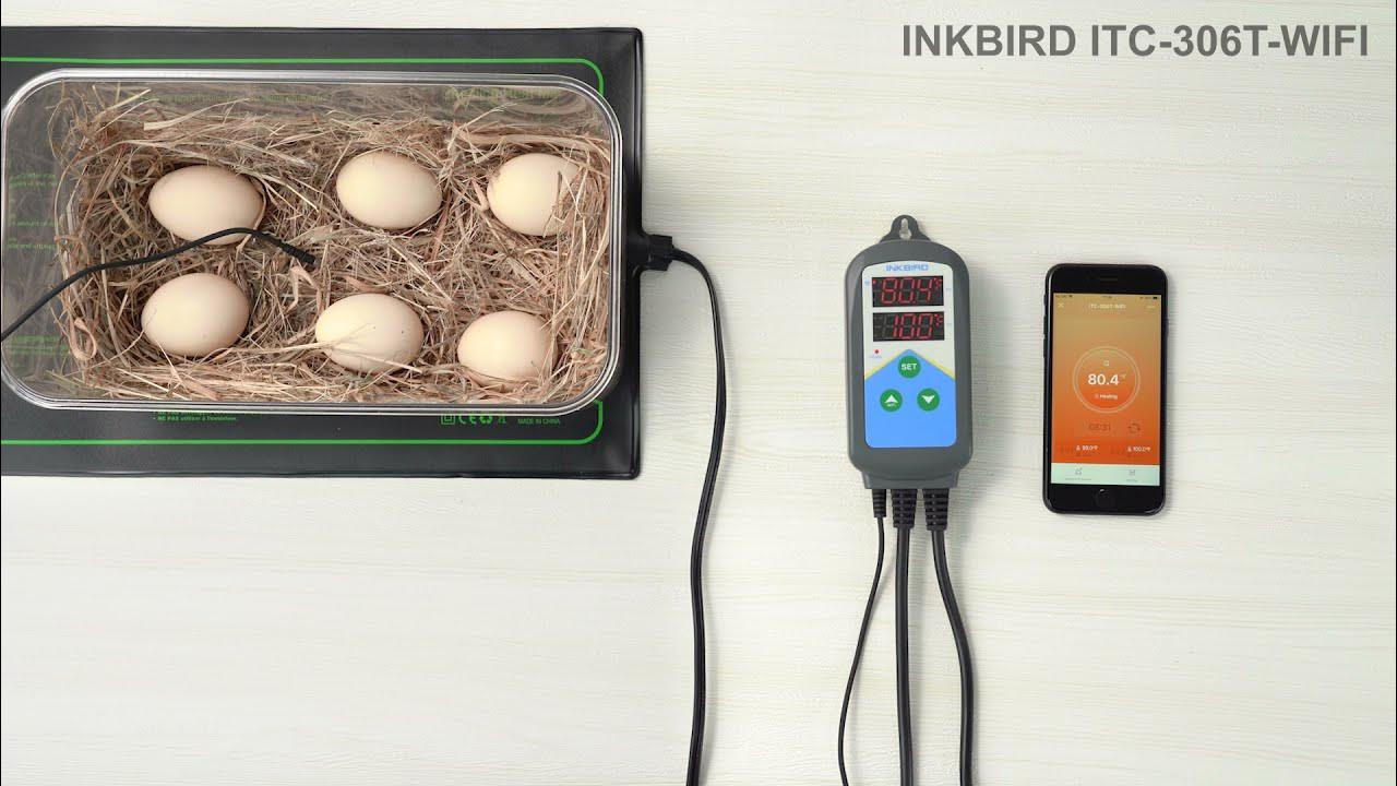 INKBIRD ITC306TWIFI Digital Temperature Controller Brief Introduction