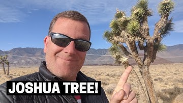EXPLORING JOSHUA TREE, CALIFORNIA: Camping, Integratron, and Giant Rock Adventures