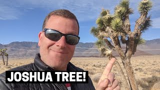 EXPLORING JOSHUA TREE, CALIFORNIA: Camping, Integratron, and Giant Rock Adventures