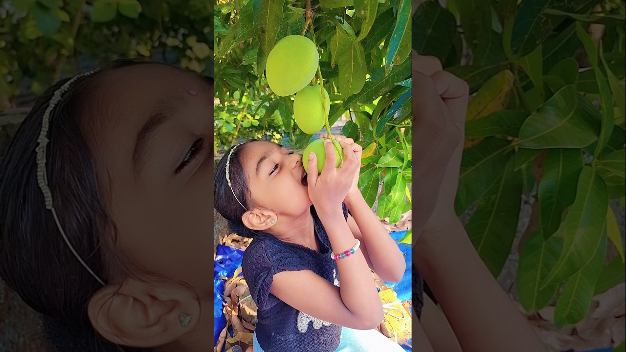 പച്ചമാങ്ങ ഉപ്പും മുളകും ഇട്ടത് 🌶🥵|spicy mango 🥭