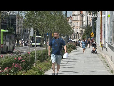 Olsztyn jeszcze bardziej zielony