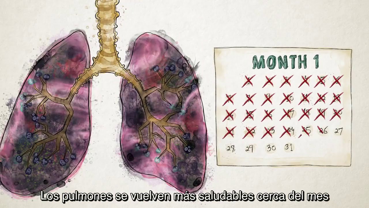 How do cigarettes affect the body - Krishna Sudhir. Subtitulado - YouTube