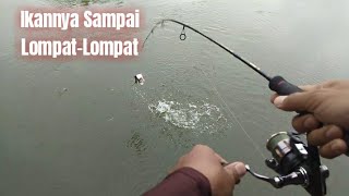 Panen Strike‼️ Mancing Pakai Soft Lure Udang, Ajing Fishing screenshot 3