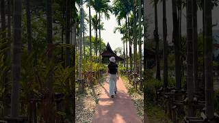 Thailand is Unreal! #thailand #shorts