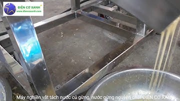 Máy nghiền vắt tách nước củ gừng, củ nghệ, ĐIỆN CƠ XANH