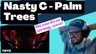 ZA Nasty C - Palm Trees [Reaction] | Some guy's opinion