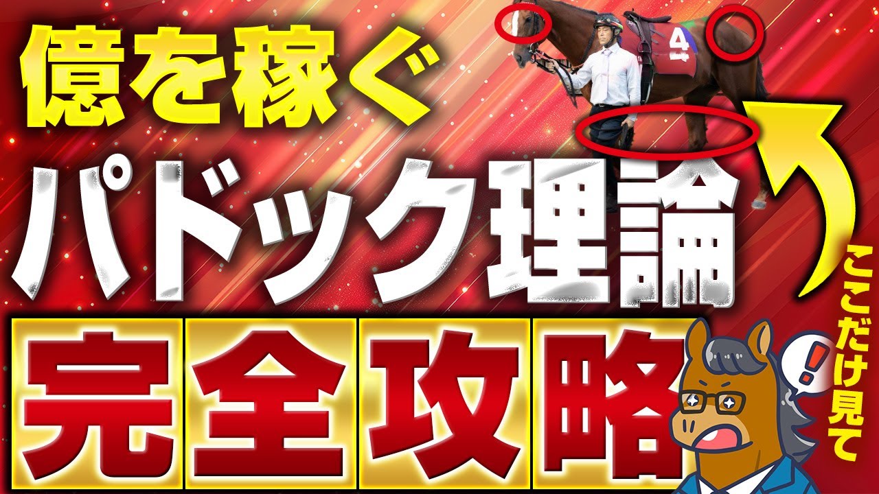 【完全解説】回収率100%を超えたいなら、パドックの見方はこれ1本見れば大丈夫です。【競馬投資術】