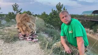 Как лев Султан чуть не СТОЛКНУЛ НАС В ОВРАГ ! Russian Lion man !