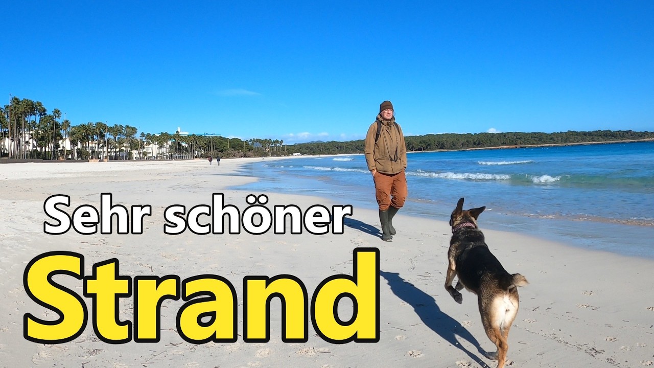 Von Canyamel bis Cales de Mallorca - Caddy Hochdachkombi Vanlife Vlog 16