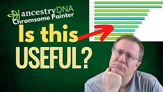 Ancestry's Chromosome Painter: Does It Reflect Reality?