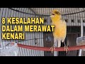 Hindari 8 kebiasaan buruk dalam merawat kenari agar burung cepat gacor