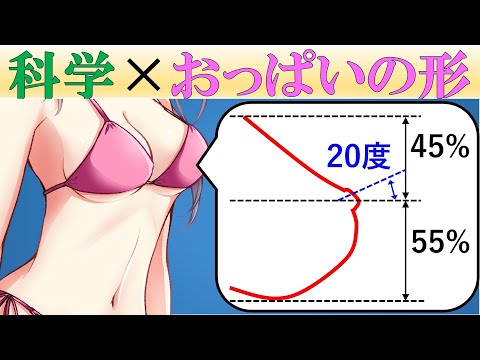 【科学的解説】どんな形・大きさが理想的で美しい？