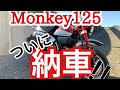 【バイク女子】モンキー125納車 【Monkey125】
