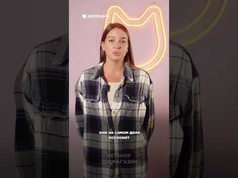 Попугаи понимают смысл слов? #интересныефакты