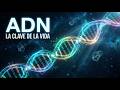 ADN y la Genética: La Clave de la Vida 🧬✨ |Ciencia Asombrosa|
