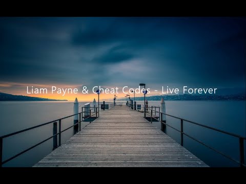 Liam Payne & Cheat codes   Live forever by NEXT Lyrics