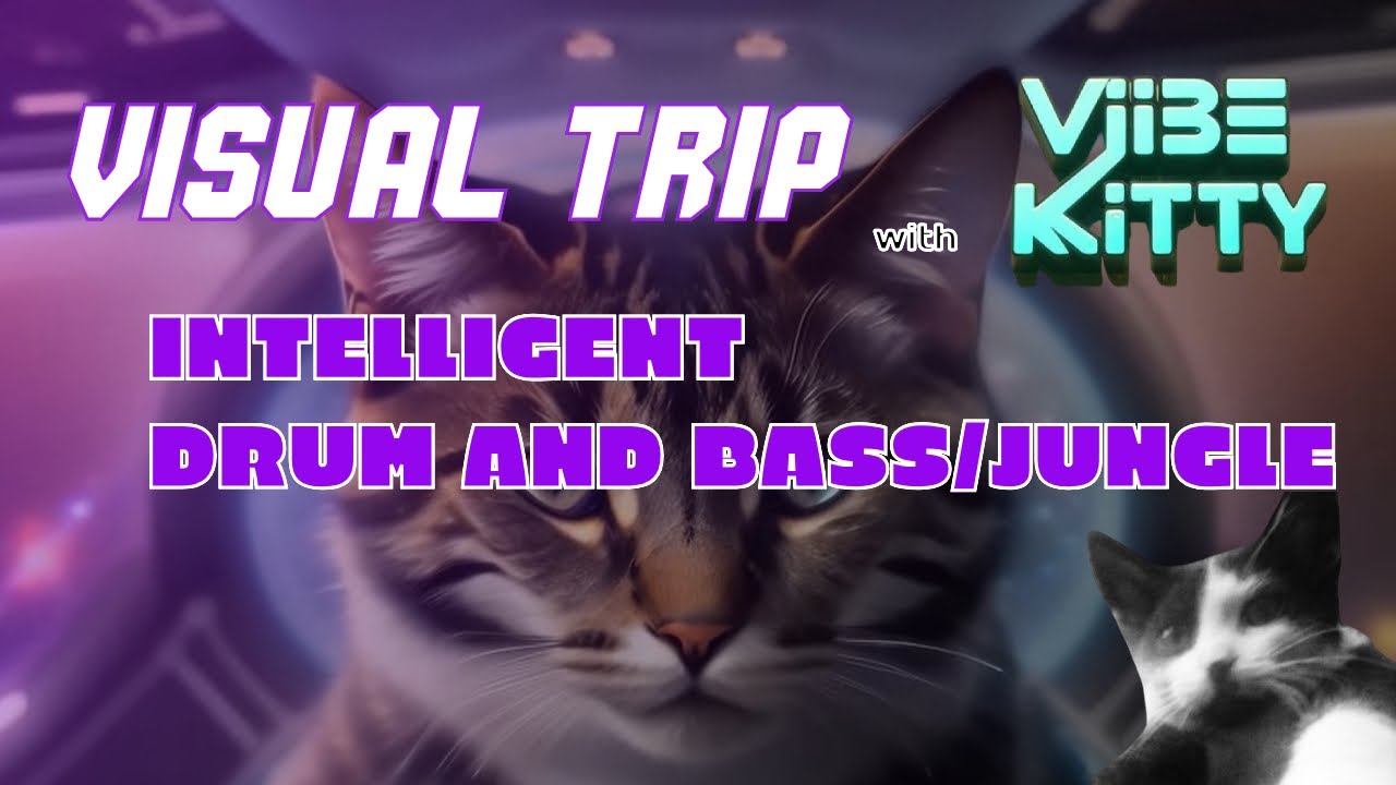 INTELLIGENT DRUM AND BASS/JUNGLE WITH SPACE KITTIES YouTube