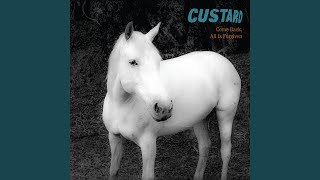 Miniatura del video "Custard - If You Would Like To"