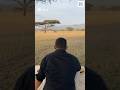 African Safari Park Full Cinematic Tour  Wildlife Adventure with @delubhai  Made with Sora 2
