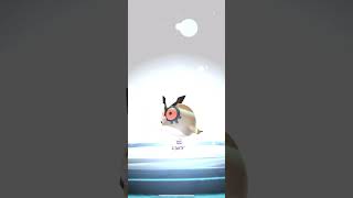 [Pokemon GO] Evolving Lucky 96% Hoothoot into a Lucky 96% Noctowl! #pokemon #luckypokemon #noctowl