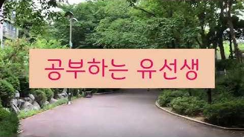 5.간호조무사 실습일상