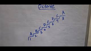 Lesson 2 - Day 1: Octave Wealth