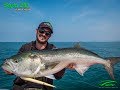 Monster Bluefish TopWater on Stylo 210 Catch and Released