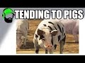 Picking up bales and feeding the pigs! farming simulator 17 ep.3