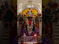 #sridurgadevi#day9#navaratrispecial #ytshortd#durgapuja