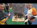 BLANES ENE'25 - PÍLDORA VIERNES 24/01 (3) - CAMPEONATO DE ESPAÑA DE 3D EN SALA 2024-2025