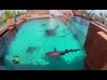 ATLANTIS, BAHAMAS: The PROS & CONS! - YouTube